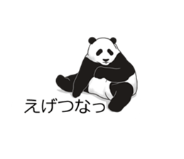 Panda, appeared in the balloon sticker #10708007