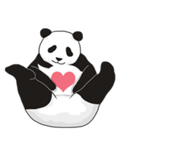 Panda, appeared in the balloon sticker #10708011