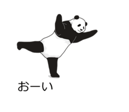 Panda, appeared in the balloon sticker #10708012