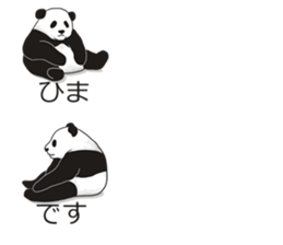Panda, appeared in the balloon sticker #10708014