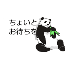 Panda, appeared in the balloon sticker #10708015