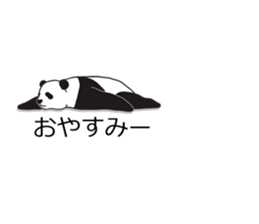 Panda, appeared in the balloon sticker #10708018