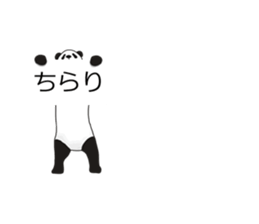 Panda, appeared in the balloon sticker #10708019