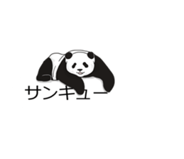 Panda, appeared in the balloon sticker #10708020