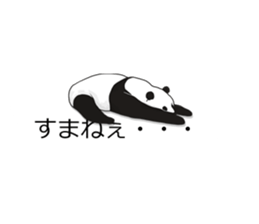 Panda, appeared in the balloon sticker #10708021