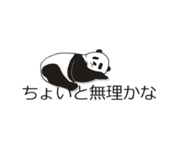 Panda, appeared in the balloon sticker #10708023