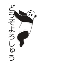 Panda, appeared in the balloon sticker #10708024