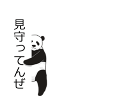 Panda, appeared in the balloon sticker #10708029