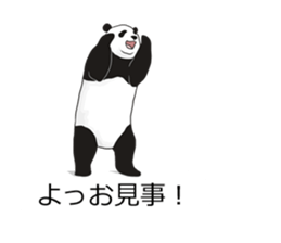 Panda, appeared in the balloon sticker #10708034