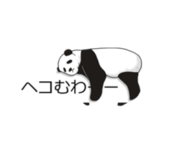 Panda, appeared in the balloon sticker #10708036