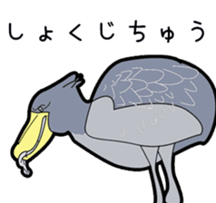 Whale-headed stork[shie] sticker #10709504