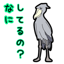 Whale-headed stork[shie] sticker #10709514