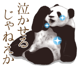 Strange pose Panda 2 sticker #10710480