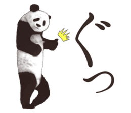 Strange pose Panda 2 sticker #10710483