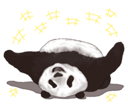 Strange pose Panda 2 sticker #10710495