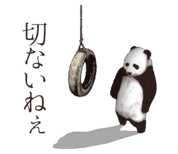 Strange pose Panda 2 sticker #10710515