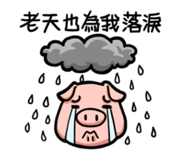 I am very confident sticker #10710910