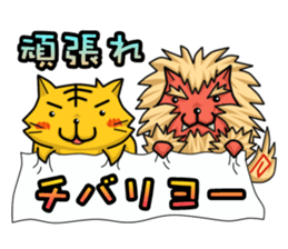 A belly-warmer is removed. (Okinawa) sticker #10715690