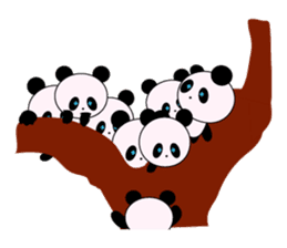 child's giant panda sticker #10715791