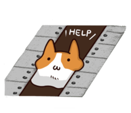 Corgi Maru sticker #10717147