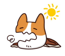 Corgi Maru sticker #10717149