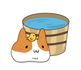 Corgi Maru sticker #10717156