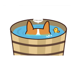 Corgi Maru sticker #10717157