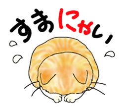 A lot of cats and dogs sticker #10725046