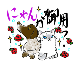 A lot of cats and dogs sticker #10725051