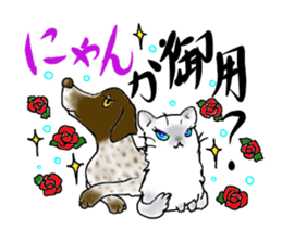 A lot of cats and dogs sticker #10725051