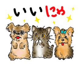 A lot of cats and dogs sticker #10725057