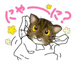 A lot of cats and dogs sticker #10725058