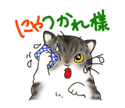 A lot of cats and dogs sticker #10725064