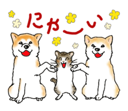 A lot of cats and dogs sticker #10725071