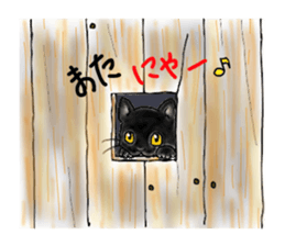 A lot of cats and dogs sticker #10725076