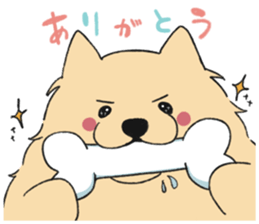 Sticker of Pomeranian sticker #10725362