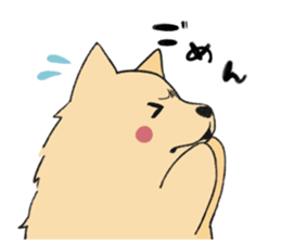 Sticker of Pomeranian sticker #10725363