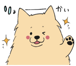 Sticker of Pomeranian sticker #10725364