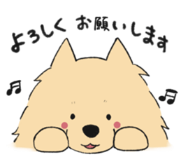 Sticker of Pomeranian sticker #10725365