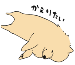 Sticker of Pomeranian sticker #10725371