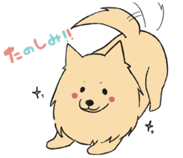 Sticker of Pomeranian sticker #10725373