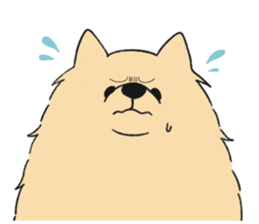 Sticker of Pomeranian sticker #10725376