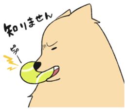 Sticker of Pomeranian sticker #10725378