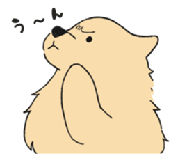Sticker of Pomeranian sticker #10725383