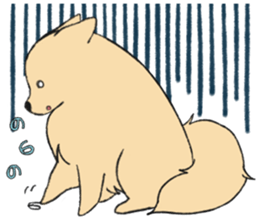 Sticker of Pomeranian sticker #10725385