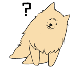Sticker of Pomeranian sticker #10725386