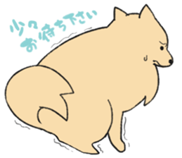 Sticker of Pomeranian sticker #10725391