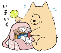 Sticker of Pomeranian sticker #10725392