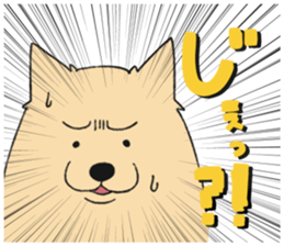 Sticker of Pomeranian sticker #10725395