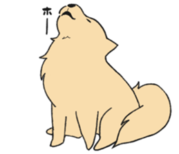 Sticker of Pomeranian sticker #10725397